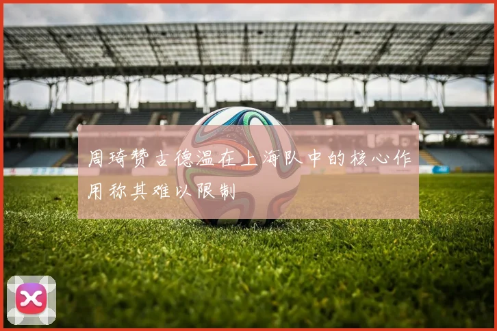周琦赞古德温在上海队中的核心作用称其难以限制