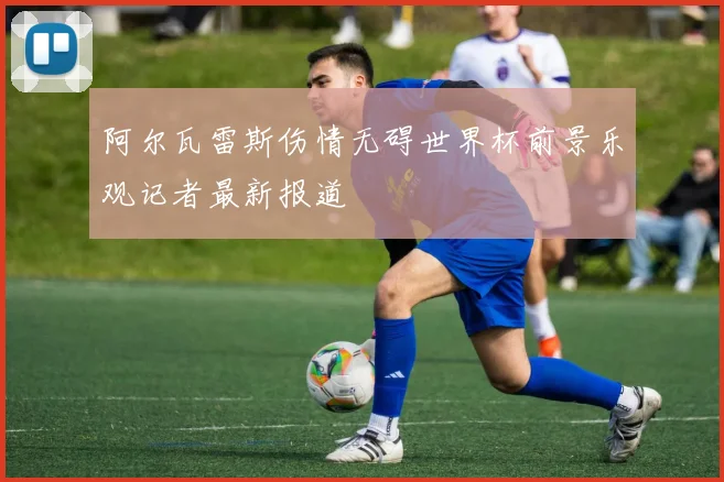 阿尔瓦雷斯伤情无碍世界杯前景乐观记者最新报道